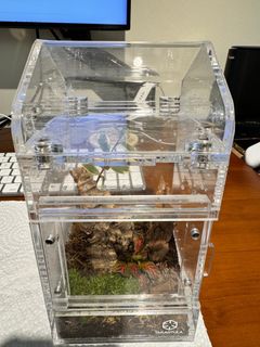 (Category: ) located in . Submitted by sujiaming (Listing ID 1285382999, Image 1). Description: .