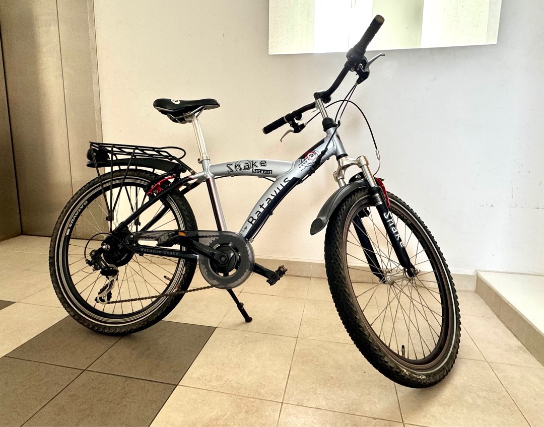 24 inch store dutch bike