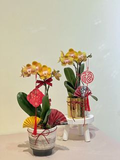 （分類：）位於 。 由 greendom_22 提交（商品編號 1285572199，圖片 1）。簡介： 。