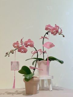 （分類：）位於 。 由 greendom_22 提交（商品編號 1285572281，圖片 1）。簡介： 。