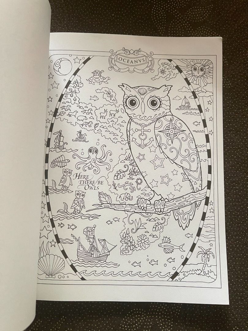 Creative Haven Coloring Book for Adults - Owls (Category: Children's Books) located in Paranaque City. Submitted by clutterpeeler (Listing ID 1285610660, Image 3). Description: .