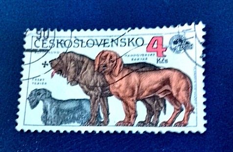 Czechoslovakia 1990 - Inter Canis Dog Show, Brno 1v. (used)