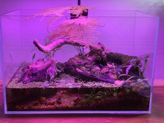 (Category: ) located in . Submitted by tiny125 (Listing ID 1285703261, Image 1). Description: .