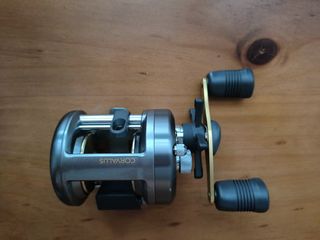 100+ affordable shimano reel For Sale, Fishing
