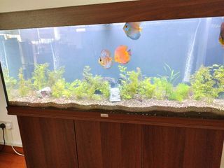 (Category: ) located in . Submitted by nissib (Listing ID 1290565509, Image 1). Description: .