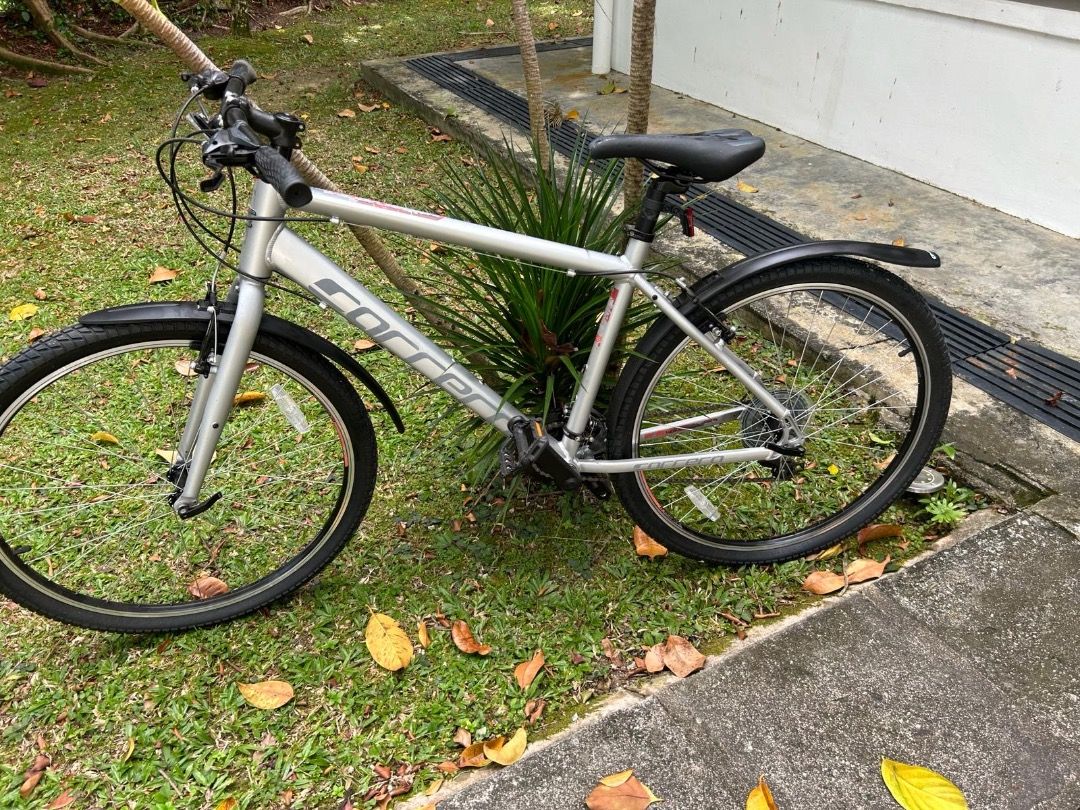 Silver on sale carrera bike