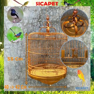 (Category: ) located in . Submitted by onlyqmall.sg (Listing ID 1290623660, Image 1). Description: .