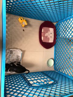 (Category: ) located in . Submitted by fishy133 (Listing ID 1290581595, Image 1). Description: .