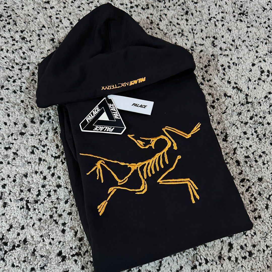Palace x Arc teryx Hoodie