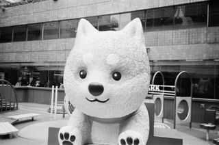 （分類：）位於 。 由 camera_crazy 提交（商品編號 1290573636，圖片 1）。簡介： 。