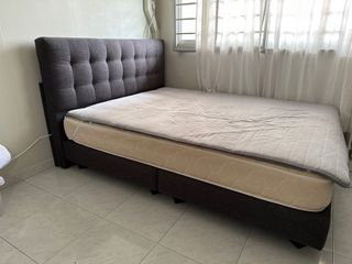 queen steady wooden bed with spring mattress (king coil), Furniture ...