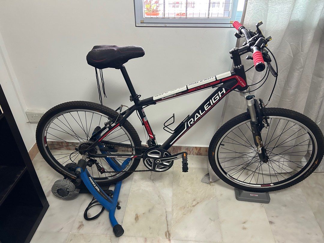 Raleigh best sale indoor trainer