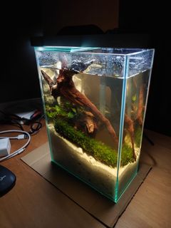 LAQUAL 3 Gallon Ultra Clear Glass Fish Tank, Rimless Low Iron Aquarium for  Betta/Nano/Goldfish/Snail/Shrimp, Small Fish Tank with Fish Net & Cleaning