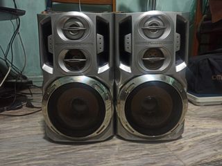 Twin Bass Reflex Pioneer Speaker