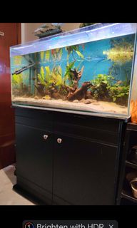 (Category: ) located in . Submitted by stevenlby (Listing ID 1292147148, Image 1). Description: .