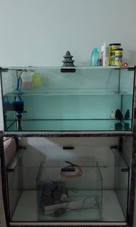 (Category: ) located in . Submitted by ck.ng0820 (Listing ID 1292214944, Image 1). Description: .