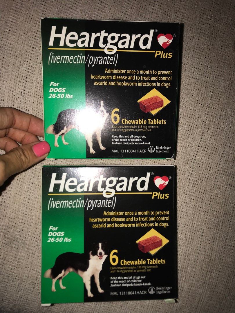 Heartgard green top
