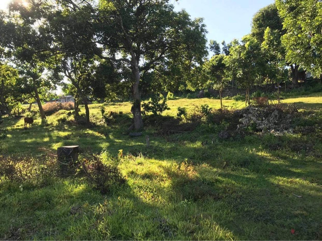(Category: ) located in . Submitted by genjimenez (Listing ID 1292239374, Image 1). Description: .