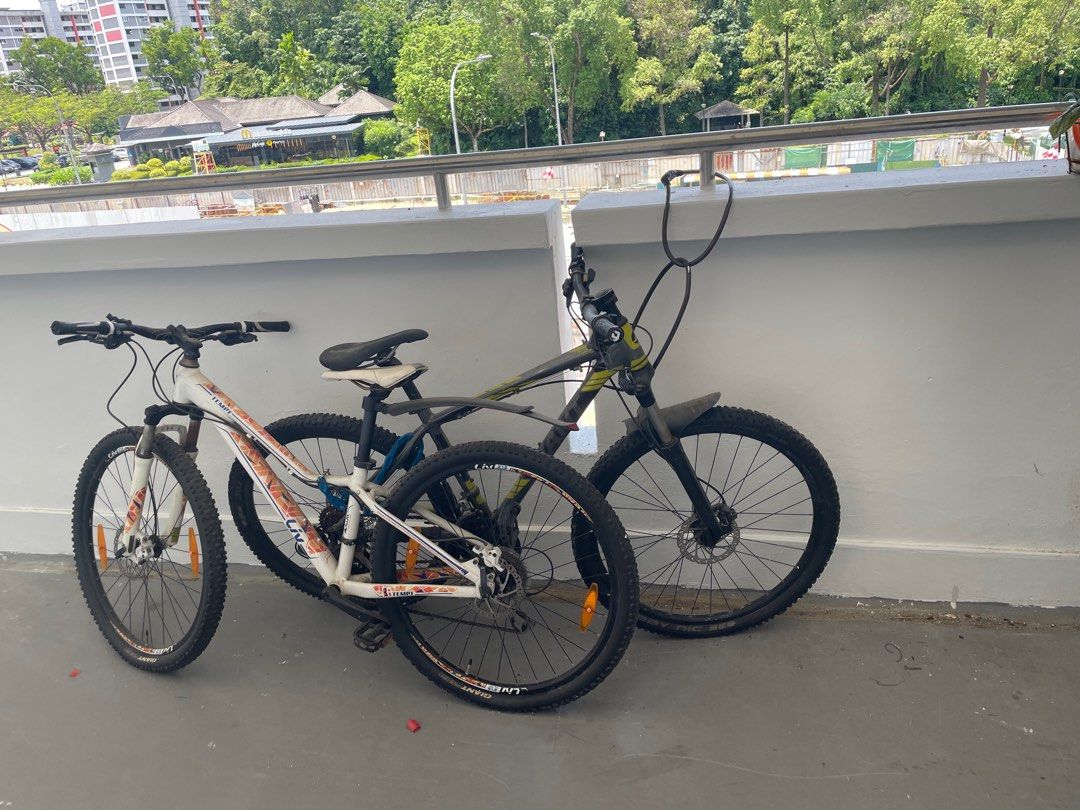 Women's giant bike outlet