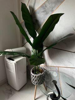 (Category: ) located in . Submitted by norsaid (Listing ID 1292172446, Image 1). Description: .