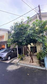 (Kategori: ) berada di . Dikirim oleh ddenstridy (ID iklan 1292192509, Gambar 1). Deskripsi: .