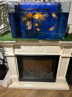 (Category: ) located in . Submitted by firdousheila (Listing ID 1292233790, Image 1). Description: .