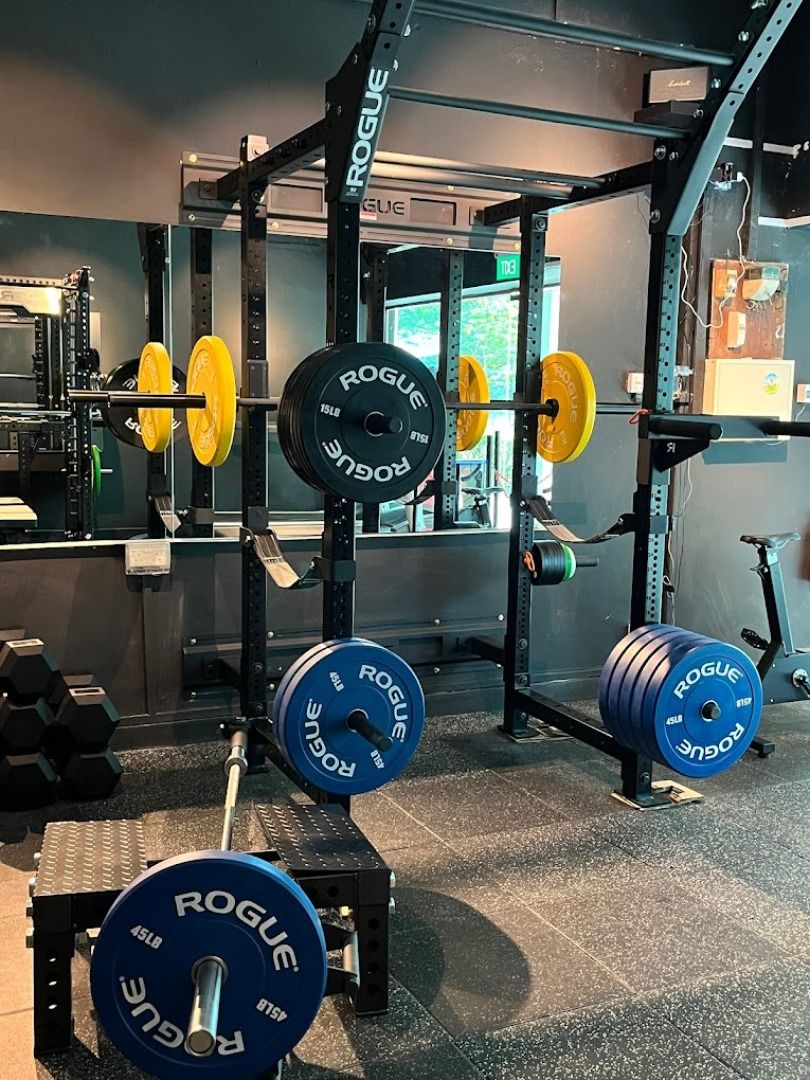 Monster lite rack rogue outlet