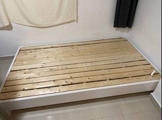 （分類：）位於 。 由 environmentalfrdly 提交（商品編號 1292172111，圖片 1）。簡介： 。