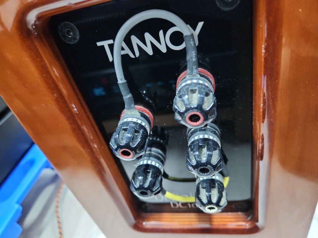 Tannoy Floor Standing Speaker DC10A63205307490435112