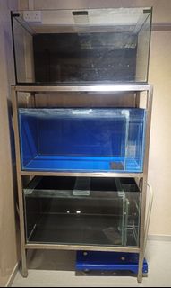 (Category: ) located in . Submitted by leopoldi (Listing ID 1292263704, Image 1). Description: .