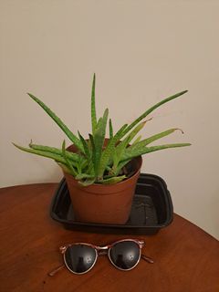 （分類：）位於 。 由 manonlou 提交（商品編號 1292335245，圖片 1）。簡介： 。