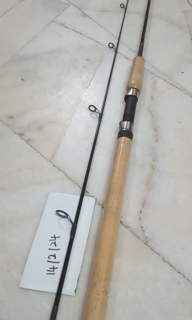 Berkley rod, Sports Equipment, Fishing on Carousell