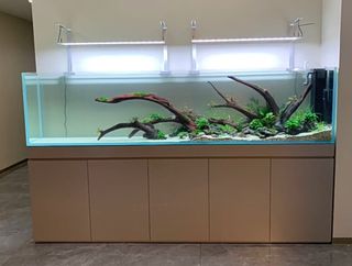 (Category: ) located in . Submitted by aquaticstore (Listing ID 1292413535, Image 1). Description: .