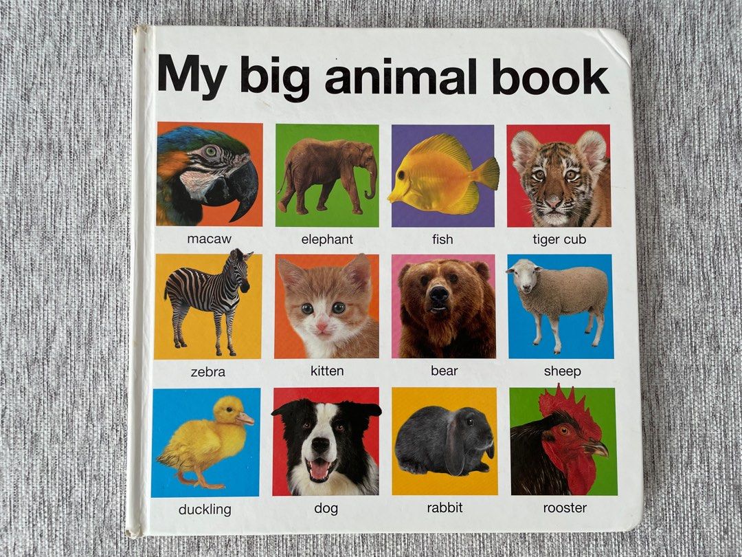 My Big Animal Book / First 100 Animal Board Book, Babies & Kids