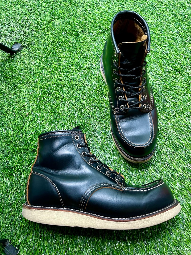 Irish setter 9874 new arrivals