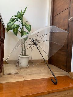 Transprent Japanese Umbrella