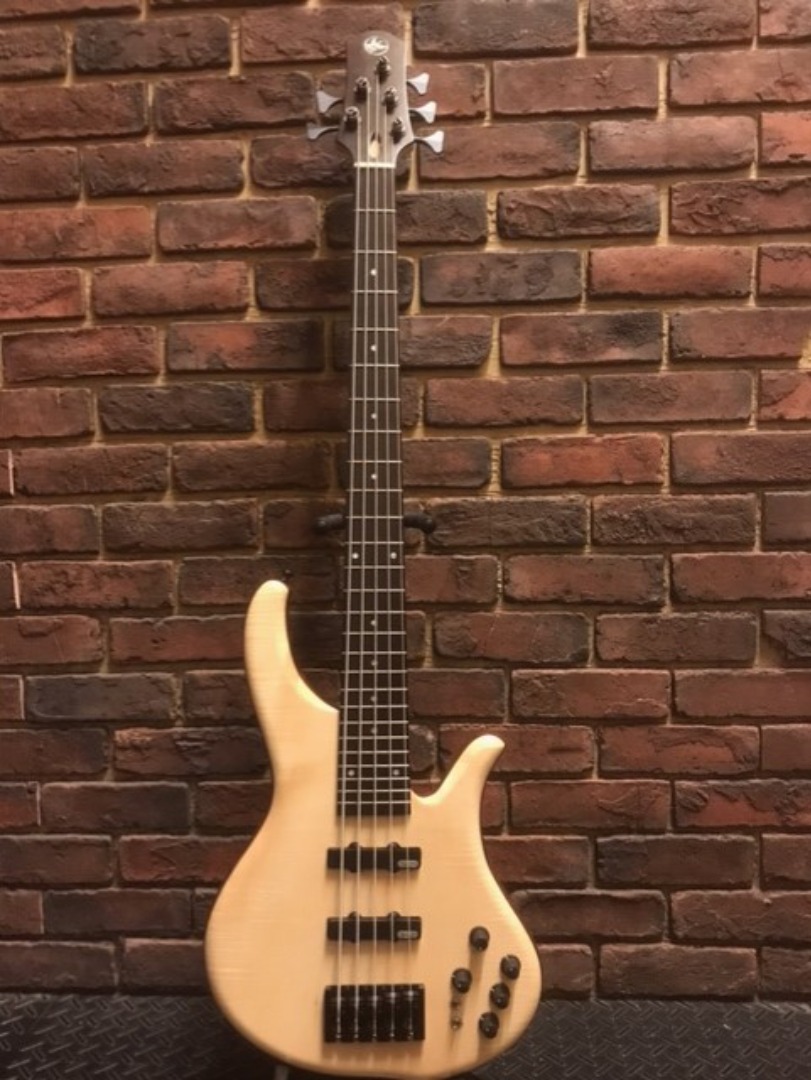 日廠Tune/ Phoenix/PH9-5 Custom Sycamore 5弦BASS, 興趣及遊戲, 音樂 