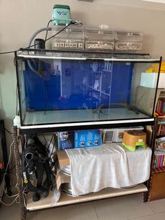 (Category: ) located in . Submitted by jagenot (Listing ID 1292455722, Image 1). Description: .