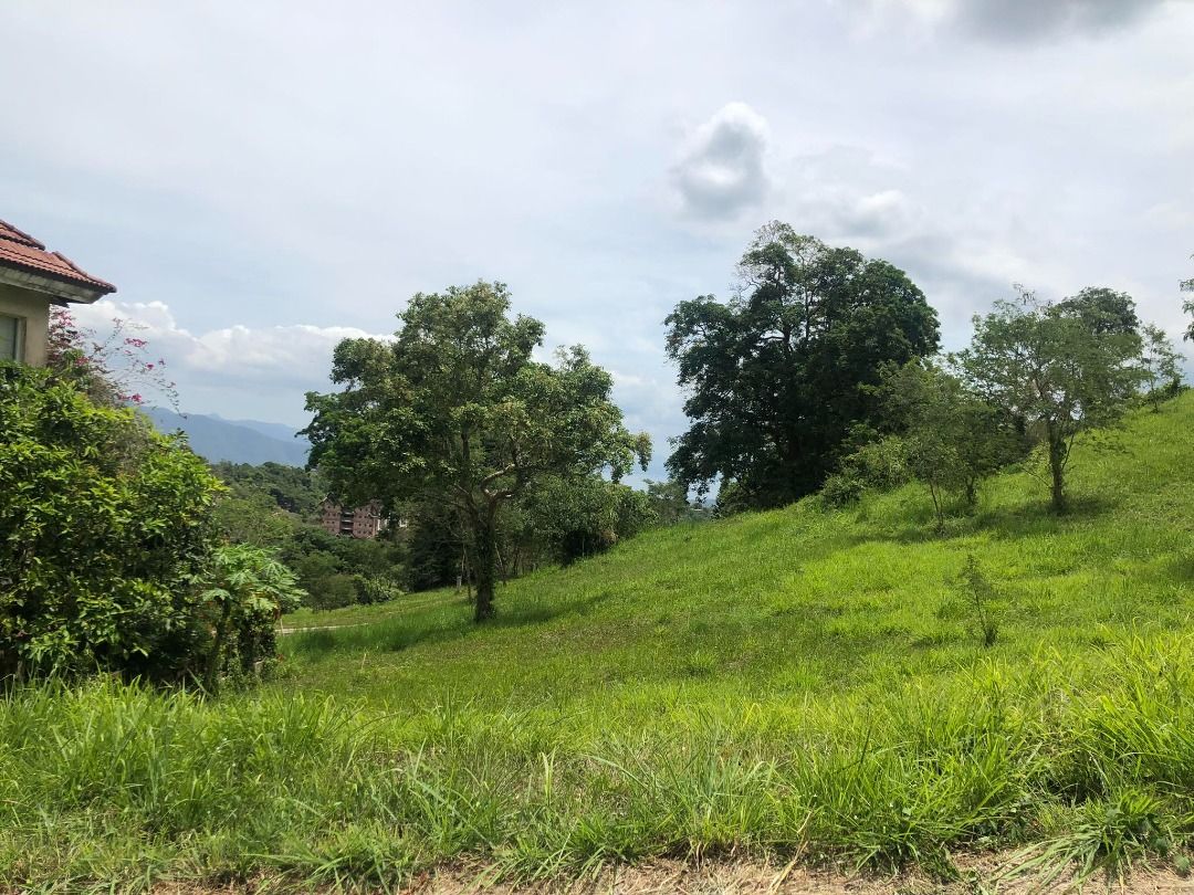 Canyon Woods Lot Laurel Batangas, Property, For Sale, Lot on Carousell