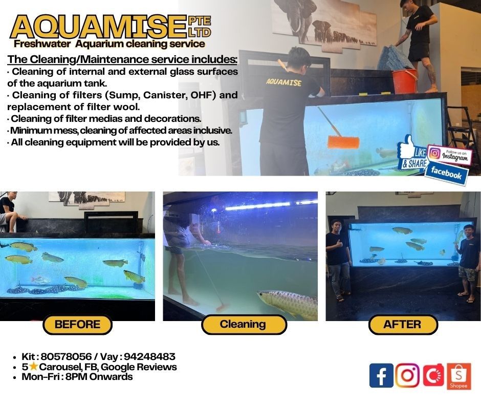 Fish Tank Cleaning Service (Freshwater), Pet Supplies, Health