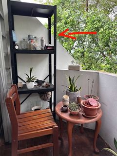 (Category: ) located in . Submitted by sunshan (Listing ID 1292592580, Image 1). Description: .