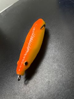 Affordable fishing soft lures For Sale