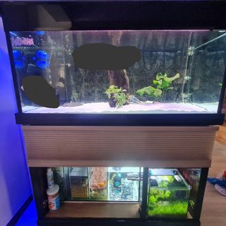 (Category: ) located in . Submitted by adilegend06 (Listing ID 1292694150, Image 1). Description: .