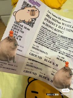 （分類：）位於 。 由 gabnella 提交（商品編號 1292790083，圖片 1）。簡介： 。