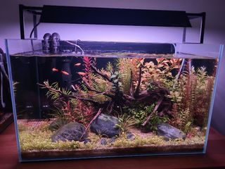 (Category: ) located in . Submitted by darrent85 (Listing ID 1286991161, Image 1). Description: .
