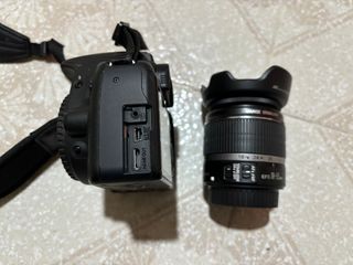 （分類：）位於 。 由 jaylamtatho 提交（商品編號 1292649181，圖片 1）。簡介： 。