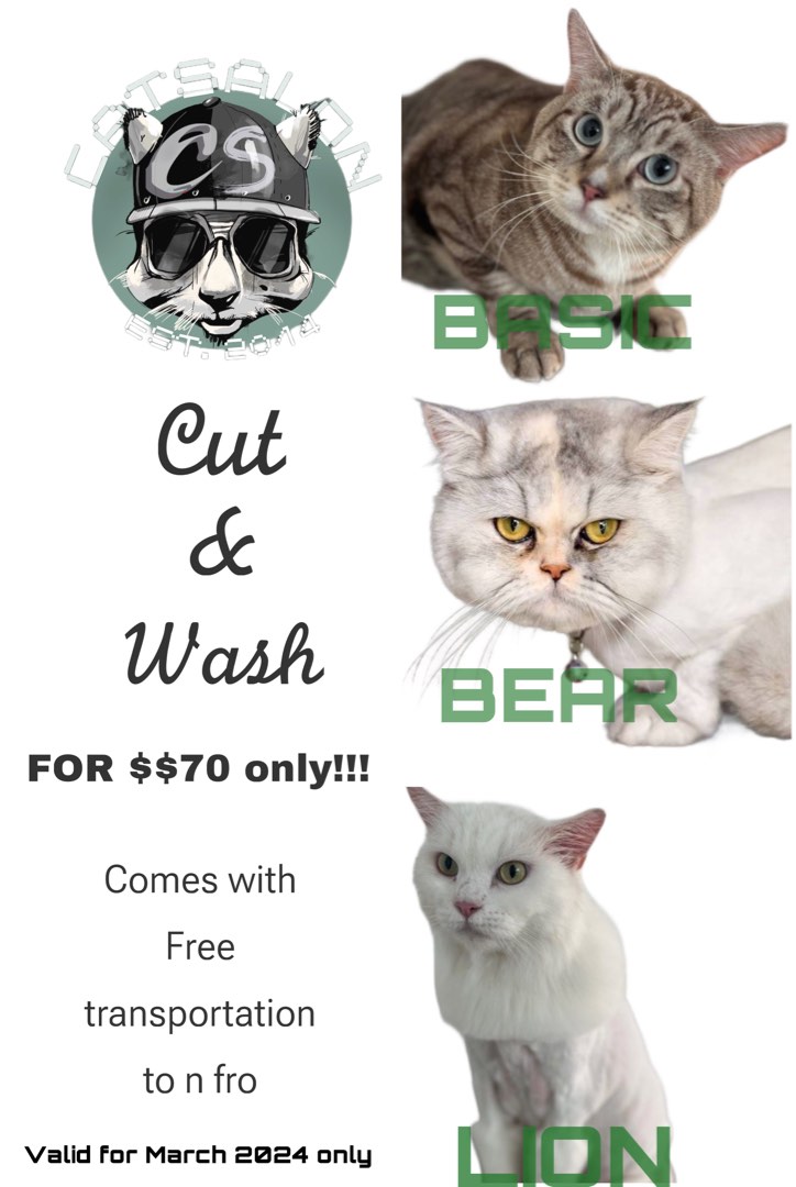 (Category: ) located in . Submitted by catsalon (Listing ID 1292778963, Image 1). Description: .