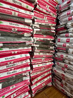 (Category: ) located in . Submitted by pets.r.us.manila (Listing ID 1292648803, Image 1). Description: .