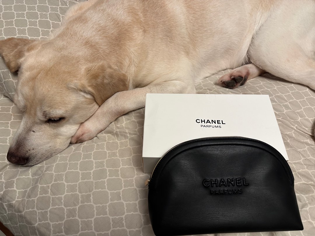 Chanel cosmetic pouch price clearance