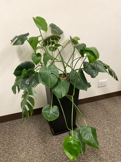 （分類：）位於 。 由 jungkong 提交（商品編號 1292670605，圖片 1）。簡介： 。